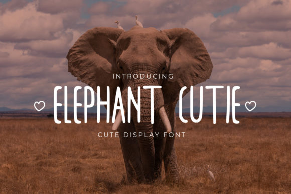 Elephant Cutie: The Editorial Designer's Sans Serif Font for Clean Layouts