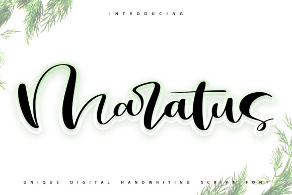 Maratus Font: Elevating Your Campaign with Handwritten Personality