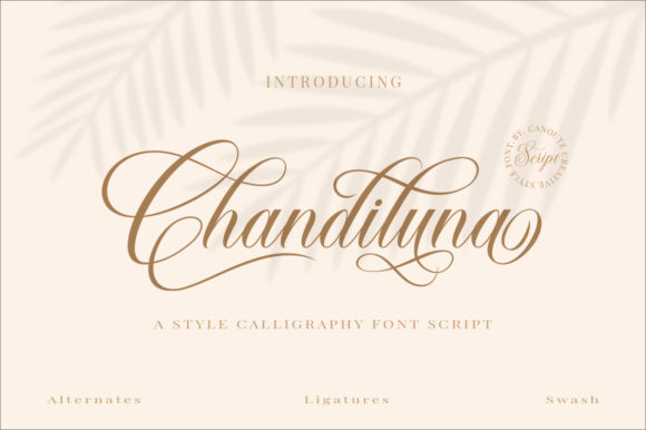 The Delicate Charm of Chandiluna: A Handwritten Font Review