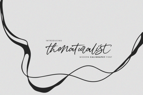 The Naturalist Font: A Handwritten Typeface for Crafting Brands